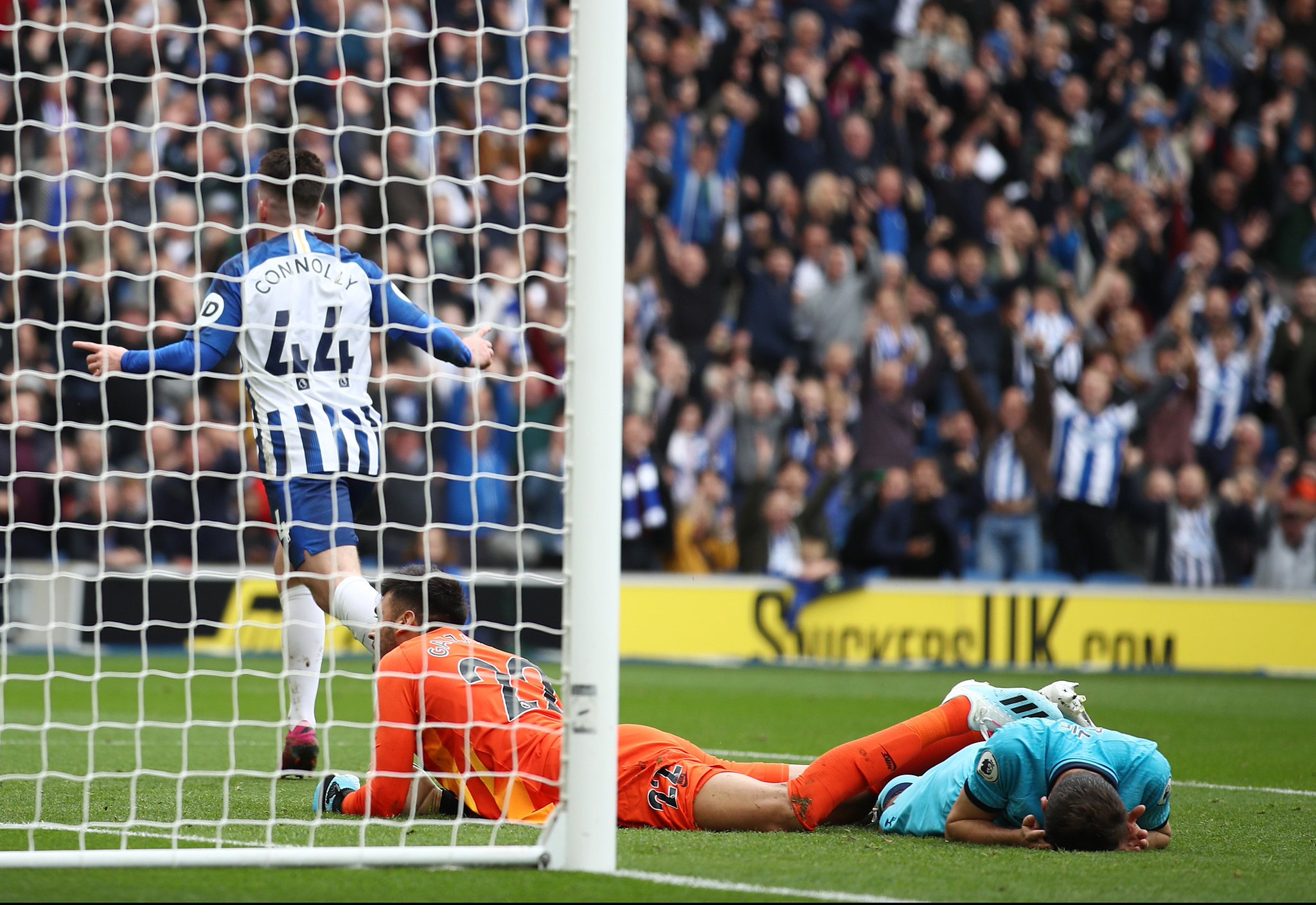 青岛海牛的 青岛海牛的
